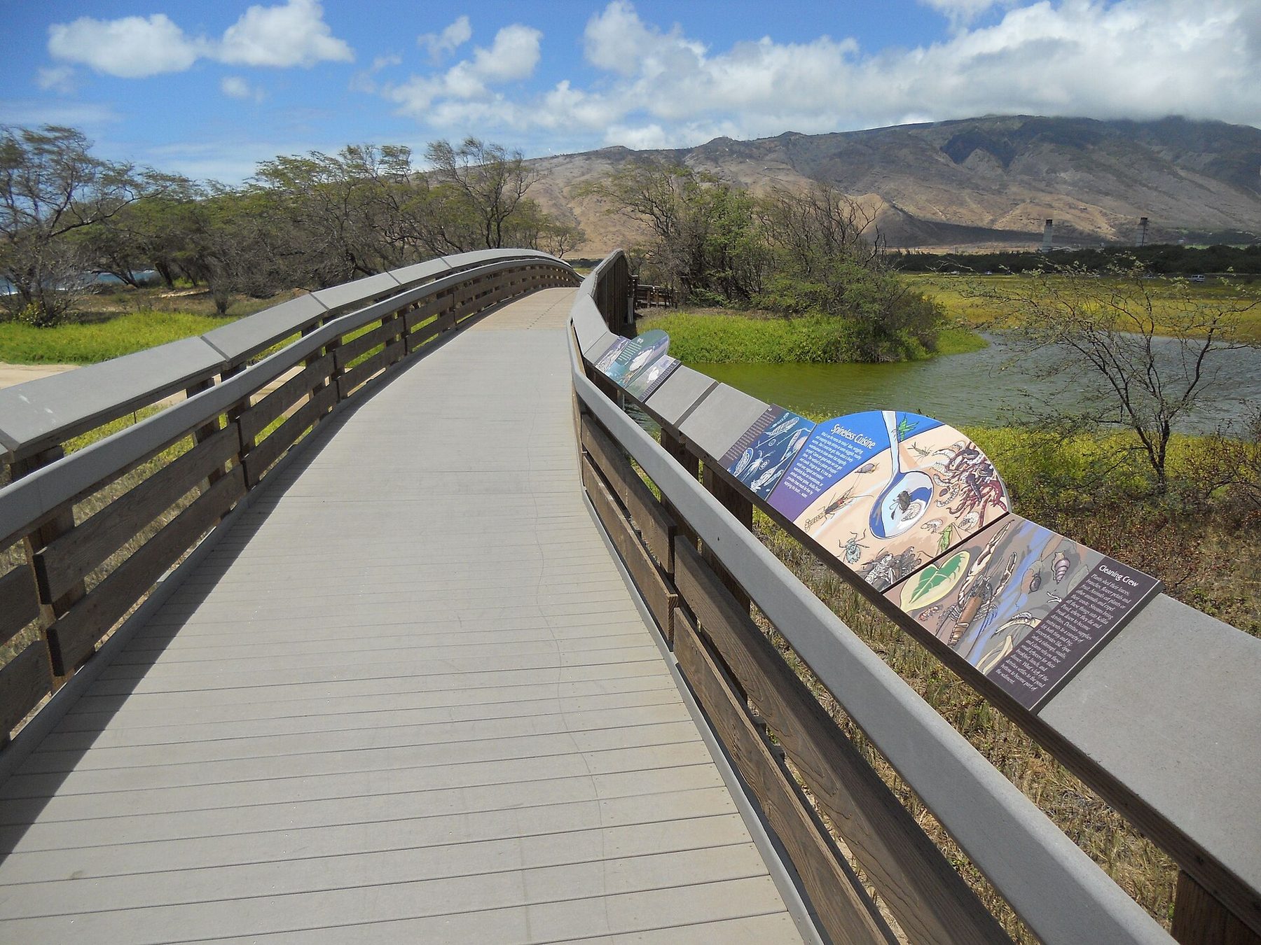 Curving boardwalk with wooden rails and illustrated information panels crossing a wetland with a pond and low trees; dry mountains with cloud on top rise behind.