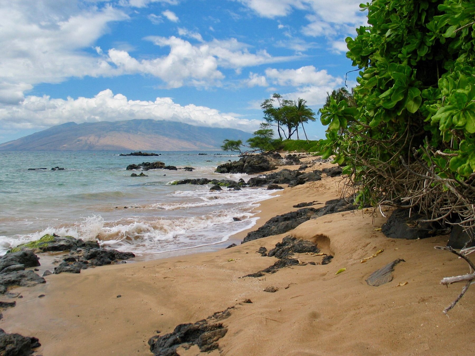 Sandy shore with black lava rocks and small waves, leafy green shrubs on the right, a few trees on a point, and a broad cloud-capped mountain across the water.