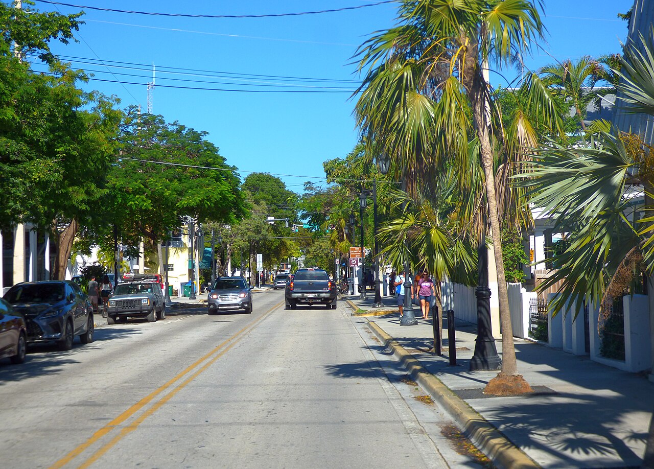 A two-lane street lined with palm trees, parked cars and low buildings under a clear blue sky.