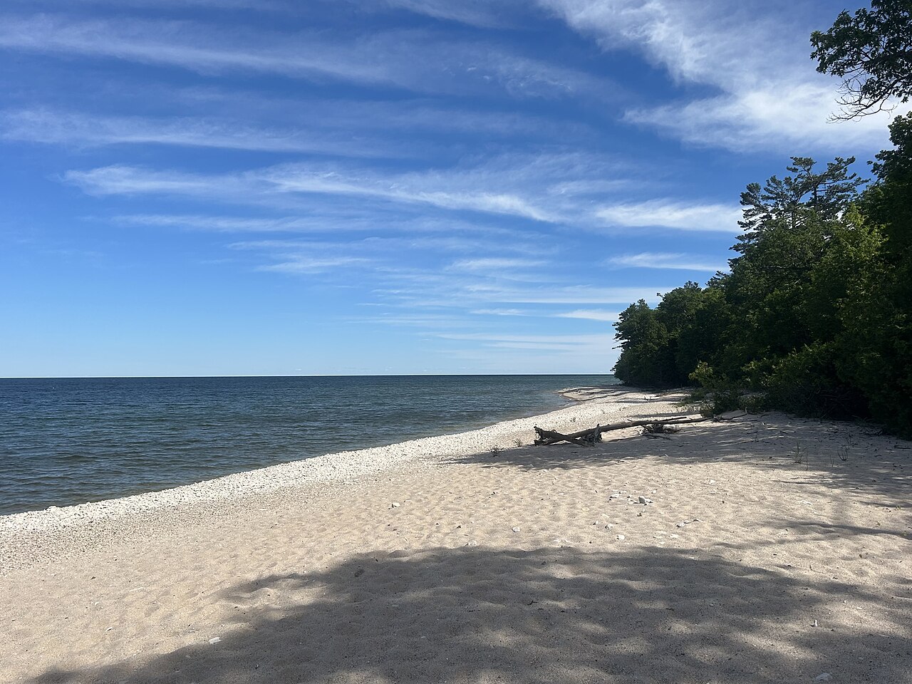 A pale sandy beach curves along calm blue water, with trees leaning over the shore on the right.