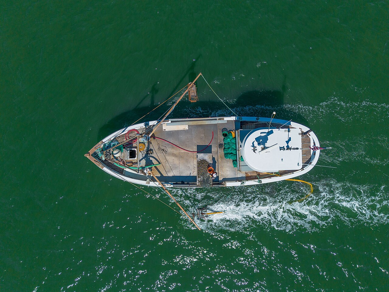 A white fishing boat seen from directly above, cutting a white wake through dark green water.