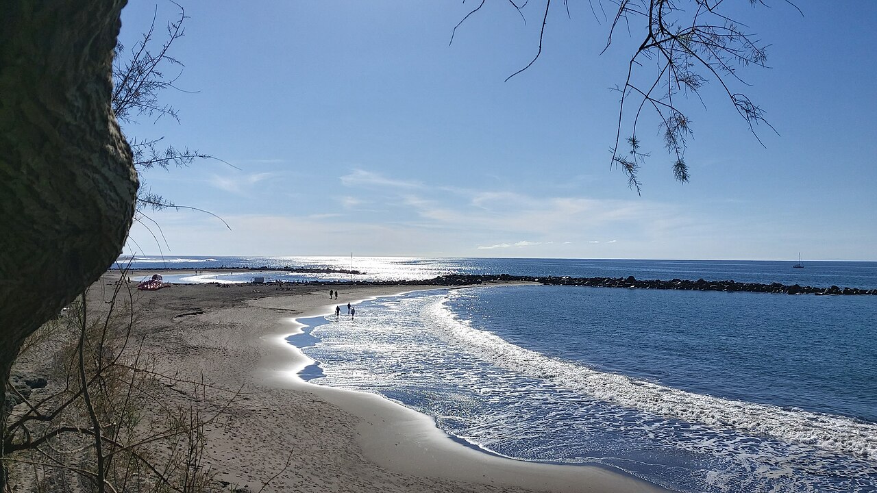 Waves roll onto a curved sandy beach with a breakwater behind and bare branches hanging into the frame.