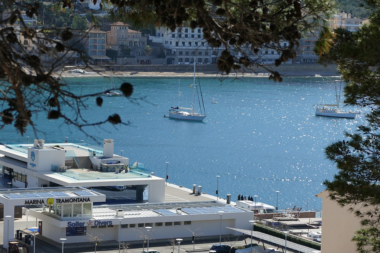 Sailing boats lie at anchor in a sheltered blue bay seen through pine branches, with a white marina building below.