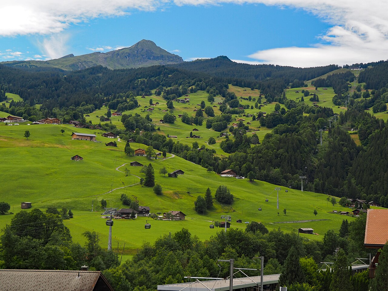Green hillsides scattered with small wooden chalets and patches of forest, a mountain peak above.