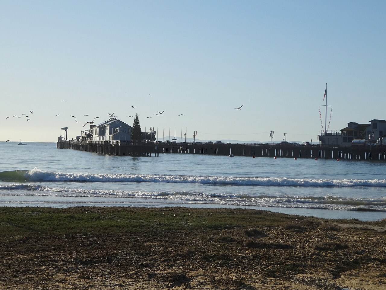 A wooden wharf with low buildings on it reaching out over the sea, with gulls in the air and small waves in front.