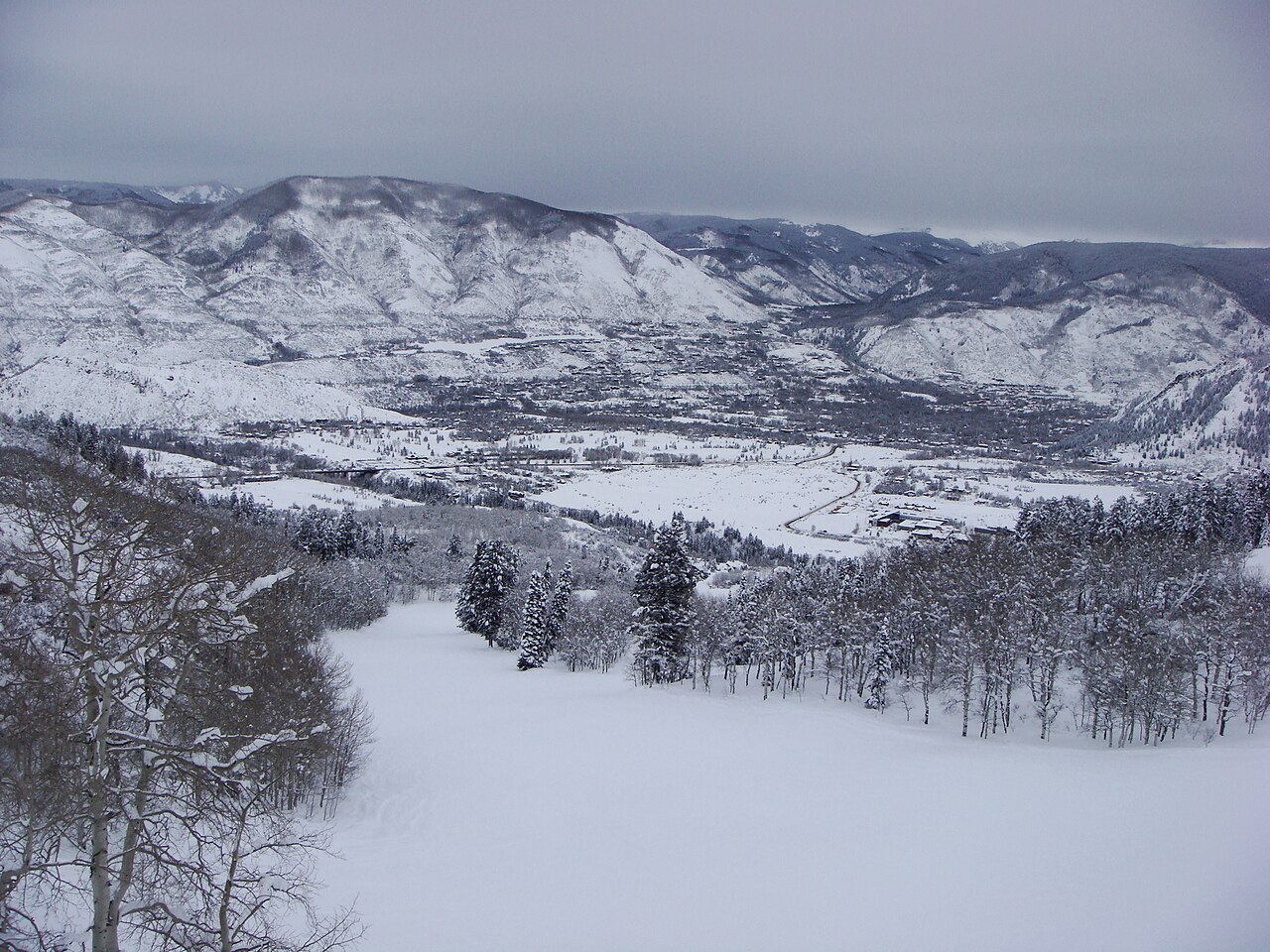 A snow-covered valley with bare trees in the foreground and a long white ridge under grey cloud.