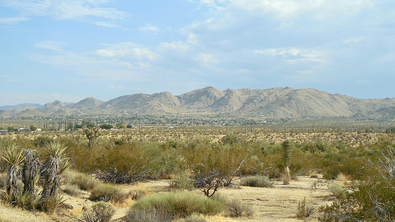 Desert scrub and yucca in the foreground, a low scattering of buildings in the middle distance and pale rocky mountains behind.